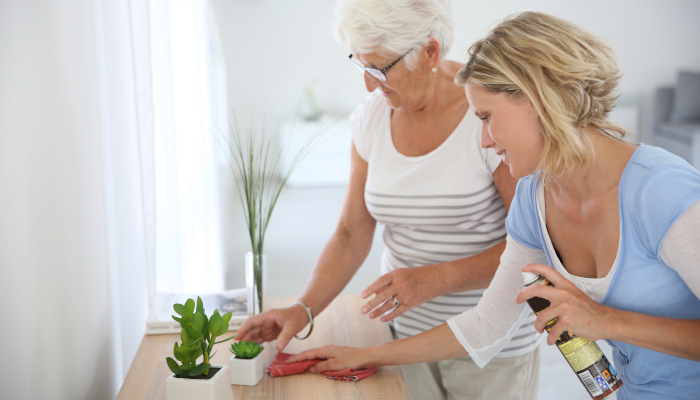 Spring cleaning support for seniors and their families in Minneapolis St. Paul